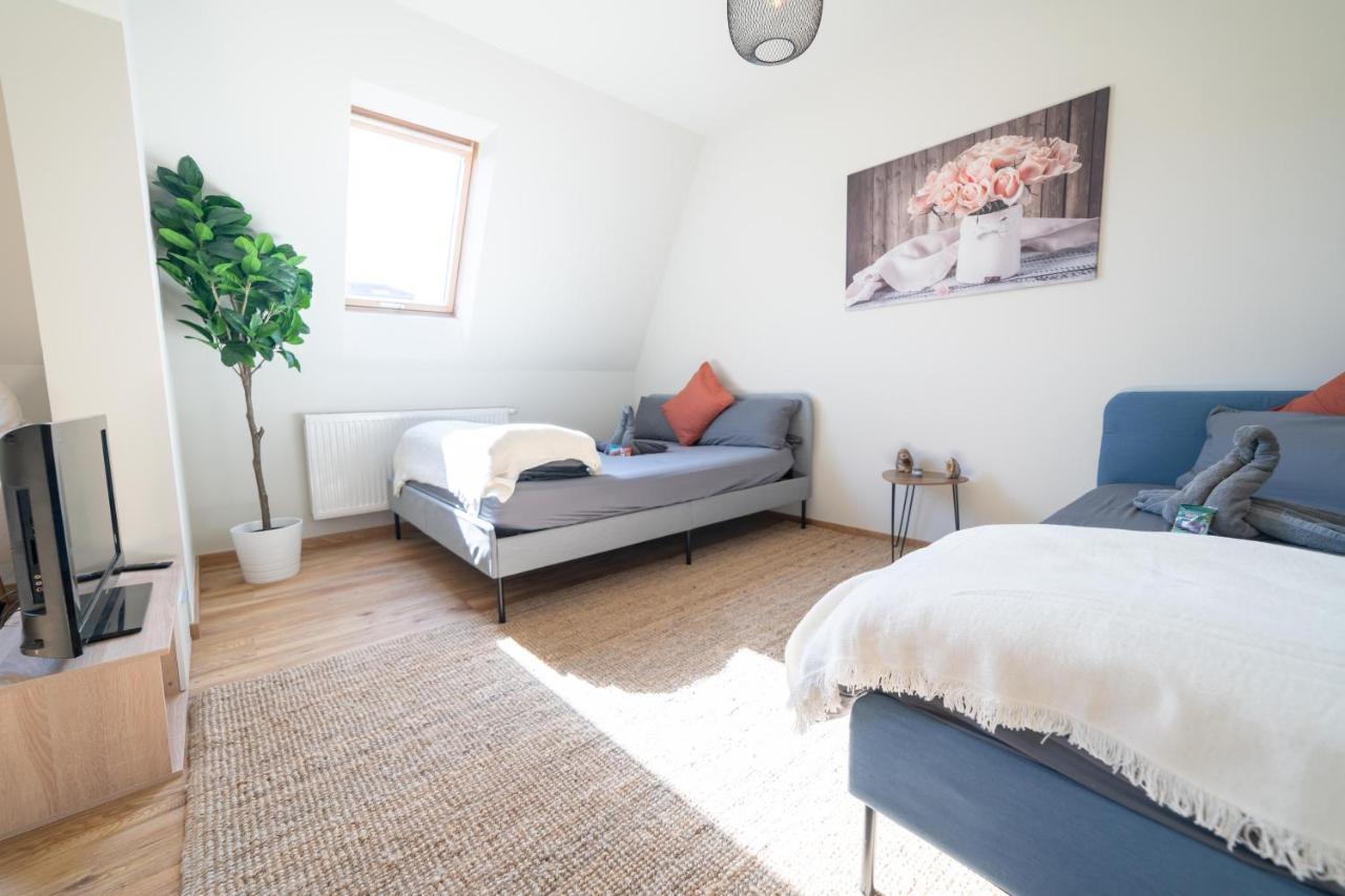 Fullhouse - Zwickau - F45 Apartments - Smarttv - Nespresso Εξωτερικό φωτογραφία